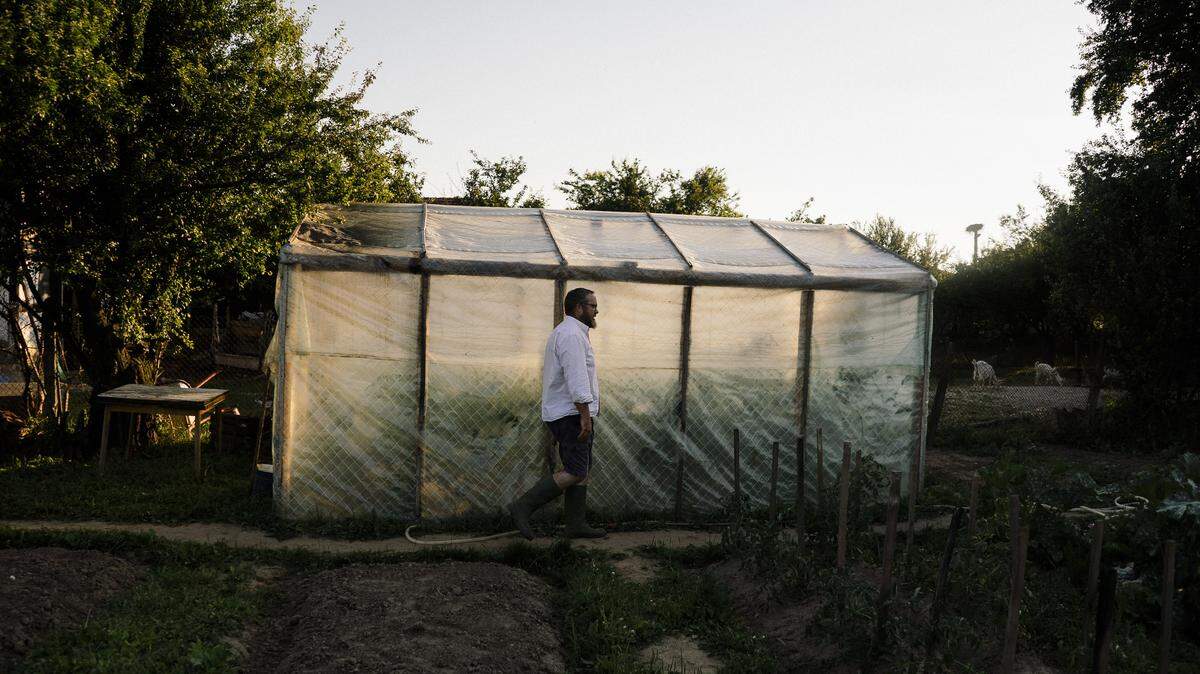 There are many things to consider before buying or making your greenhouse to grow more produce. 
