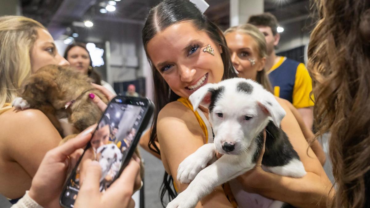 Giullana Groth, a cheerleader for the West Virginia Mountaineers, snuggled with a puppy at the puppy lounge put on by Best Friends Animal Society, who teamed up with the Big 12 Conference and The Humane Society of Greater Kansas City to help shelter puppies find homes by sponsoring the puppy lounge at the Big 12 Men’s Basketball Tournament on Wednesday, March 12, 2025, in Kansas City.