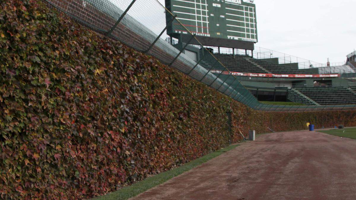 FILE - This Oct. 25, 2011, file photo, shows the outfield ivy and iconic manual scoreboard at Wrigley Field in Chicago. Wrigley Field has been the site of so much heartbreak that some fans who spend their whole lives waiting for a winner ask their families, if they can pull it off, to sneak their ashes inside to be scattered in the friendly confines, a final resting place to keep on waiting. (AP Photo/Charles Rex Arbogast, File)