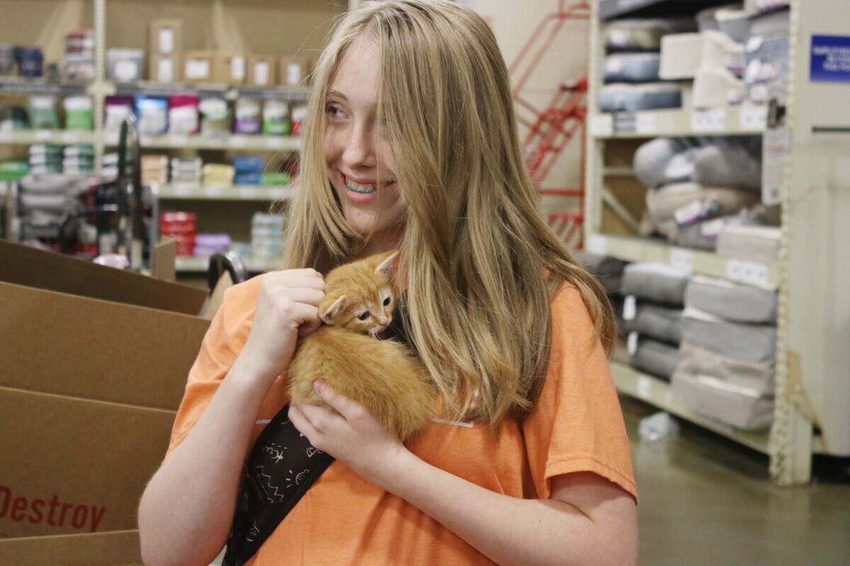 Olathe resident Lila Claar gets a cuddle from a kitten named Cranberry at a Cat’s Pawjamas event at the PetSmart in Olathe.
