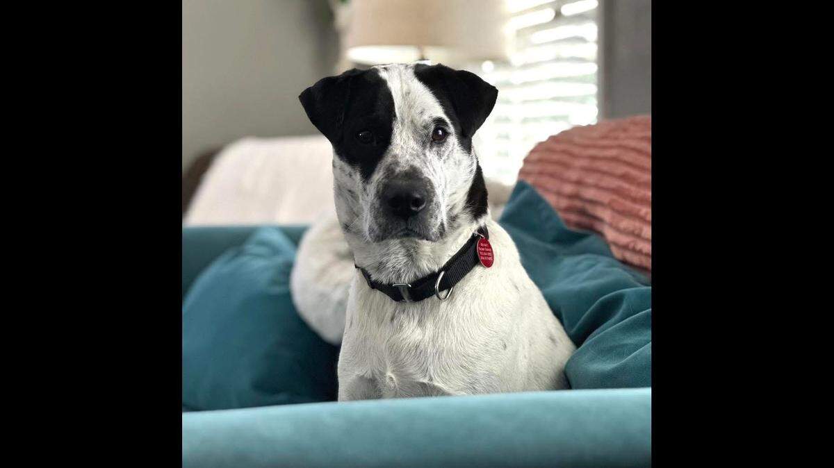 Charlie