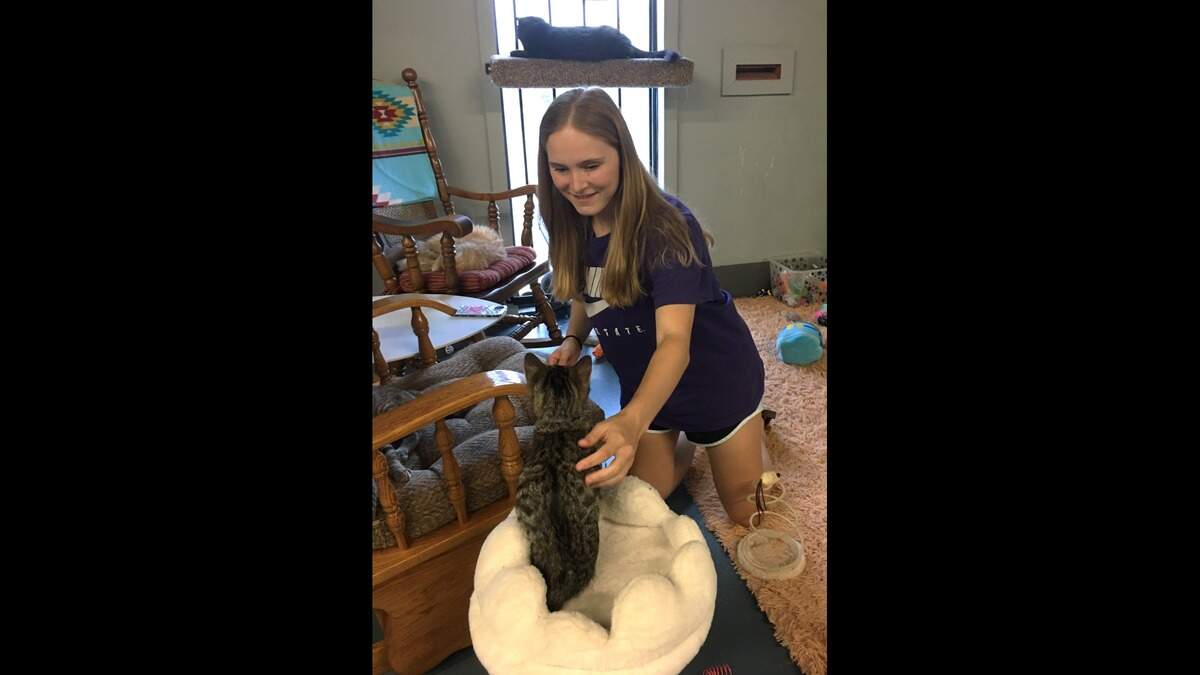 Juliana Nelsen of Overland Park delights in the company of cats at Second Cup Cat Cafe in Olathe. Cats from area shelters come to the cafe to find homes.