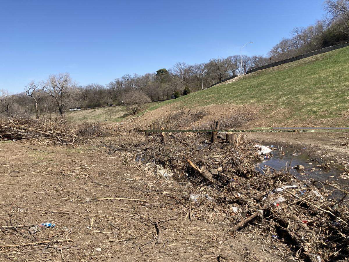 Tree stumps and branches line the creek at the bottom of the ravine in the western part of Penn Valley Park. Invasive trees are being removed to make room for new, native trees.