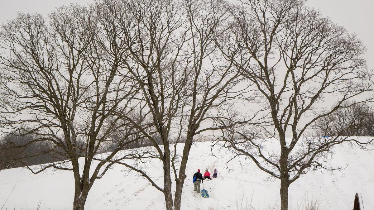 After an overnight storm blanketed the area with snow, sledders climber the hill at Meadowbrook Park in Prairie Village on Wednesday, Feb. 12, 2025.