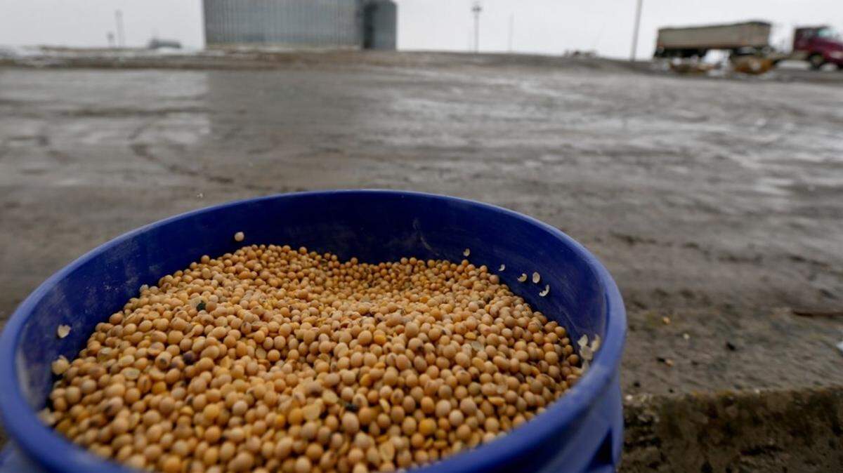 A bucket of yelllow soybeans is shown as a truck rolls by Deerfield Farms Service in Volant, Pa. After the Trump administration unveiled plans to impose tariffs on $50 billion in Chinese imports, China lashed back, matching the American tariffs with plans to tax $50 billion of U.S. products, including soybeans, corn and wheat.