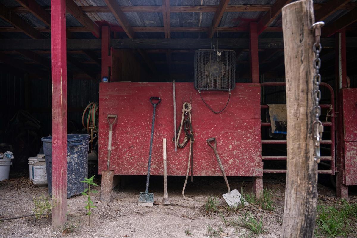 Daniel Bey’s uncle’s ranch in Kansas City, Kansas on Wednesday, July 16, 2025. Bey will be participating in the roping competition at the Black Rodeo USA stop in Kansas City on July 26th at the American Royal Center.