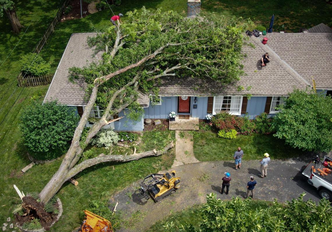 A tree trimming crew from JCB Tree Service worked to remove a large honey locust tree that crashed onto a house in the 3300 block of W. 95th Street in Leawood Wednesday, June 8, 2022, after an early morning storm ripped across the area. The homeowner said the family took shelter in the basement and was unharmed.