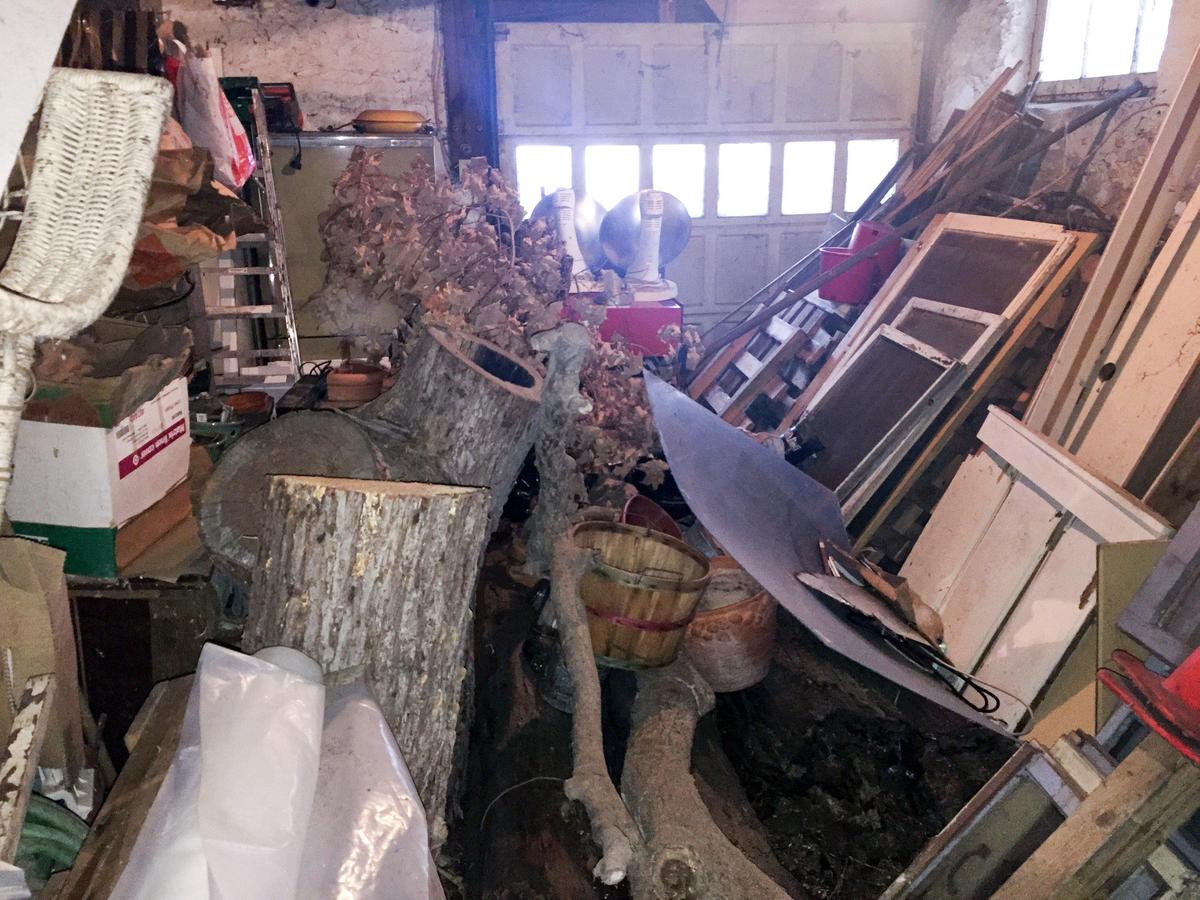 Carol Dille’s garage was filled with her belongings, and the sound of scurrying rats, before a receiver was appointed to clean out her home.