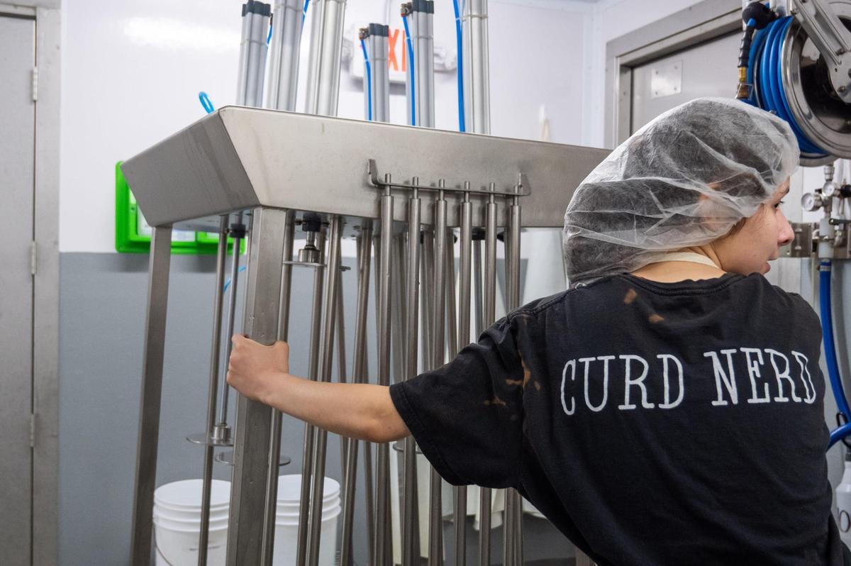 A worker wearing a shirt that says “Curd Nerd,” pulls a cheese pressing machine at Green Dirt on Oak.