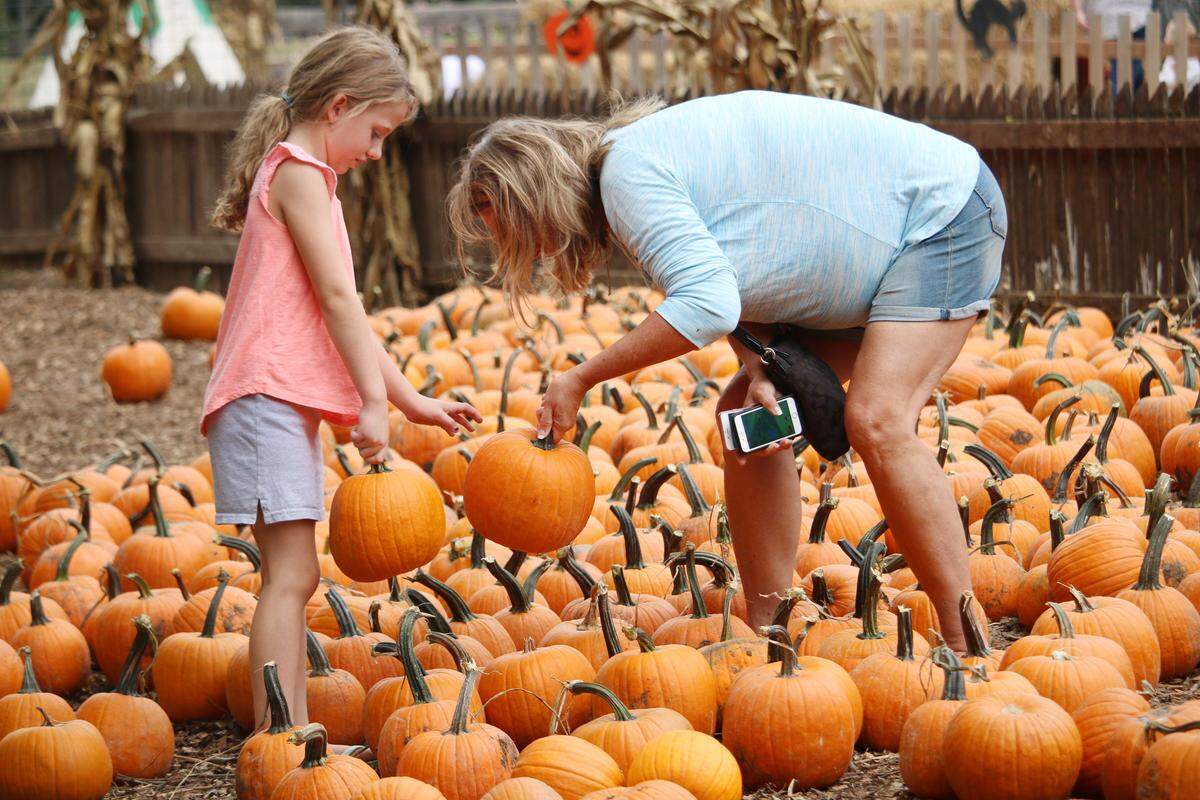 Overland Park resident Vera Carrieres, 7, picks out a pumpkin with her grandma, Carlena Bulkey, at the Deanna Rose Farmstead pumpkin hollow.