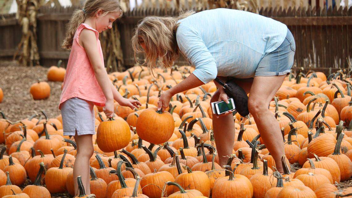 Still need Halloween plans in Johnson County? See 7 events to try