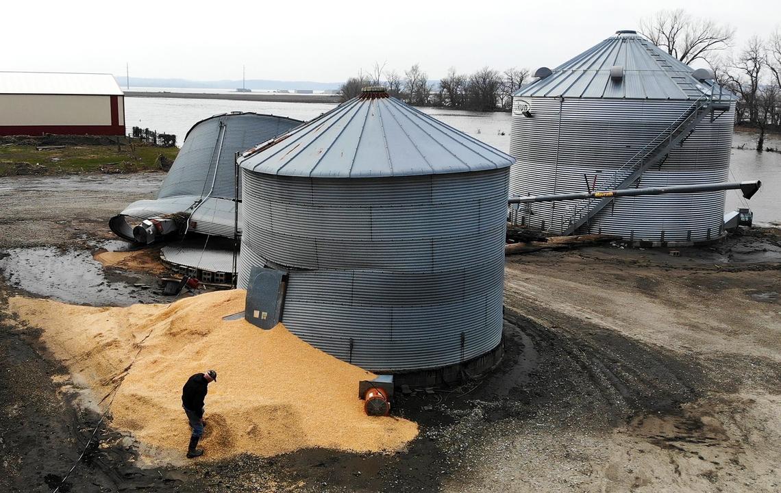 Farmer Bruce Biermann of Mound City, Mo., looks over the damage to last year’s corn yield that spilled from grain bins damaged in the recent flooding in Corning, Missouri, in Holt County. Biermann, who farms 1,700-acres, does not know if he will be able to financially recover from this year’s flooding. Wet grain is considered a total loss.