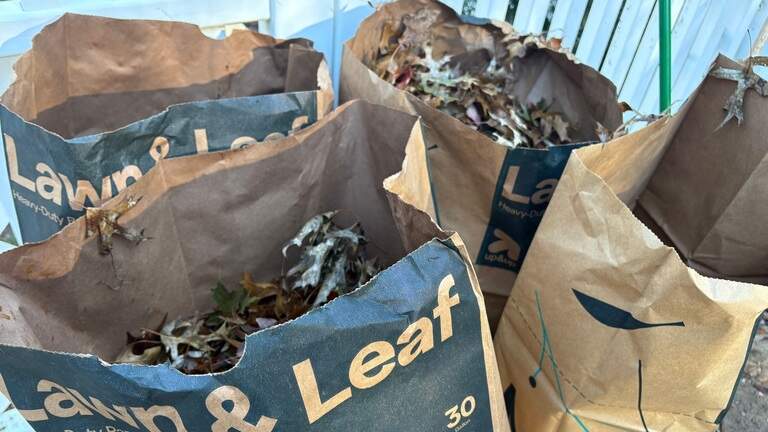 Here’s when Kansas City will pick up your leaf and yard waste for free