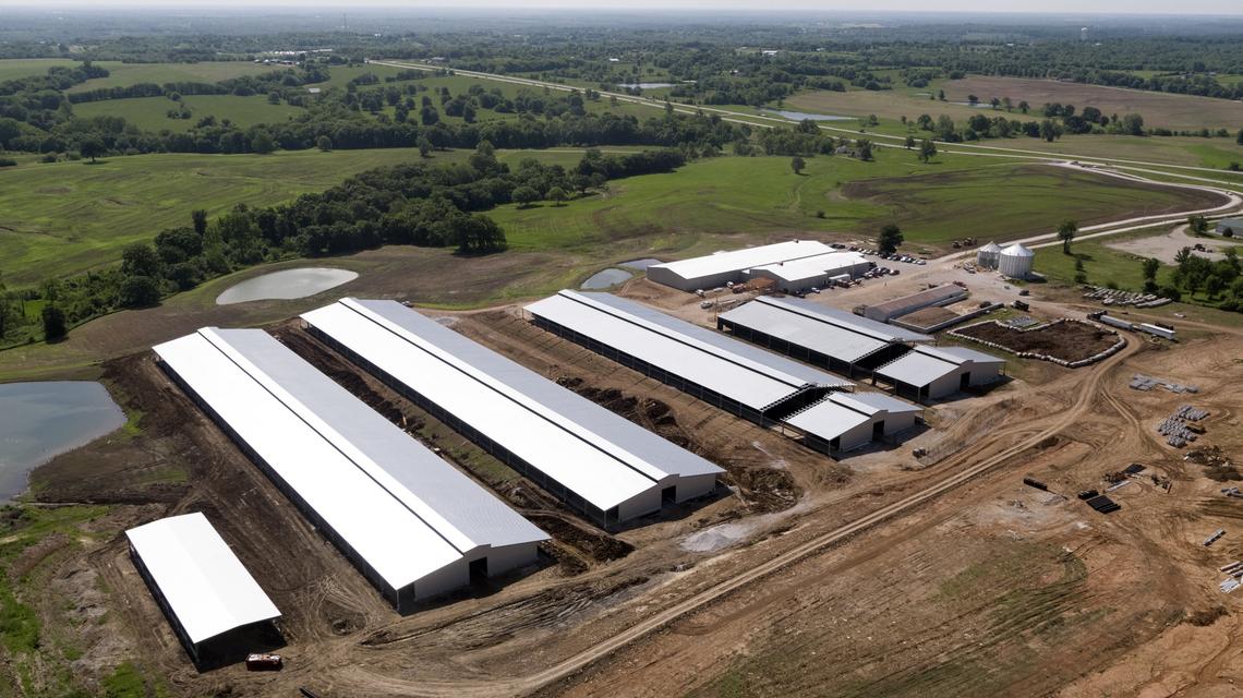 An aerial view showing the Valley Oaks Steak Co. feedlot, slaughterhouse and retail store, located east of Kansas City along U.S. highway 50 in Johnson County, Mo.