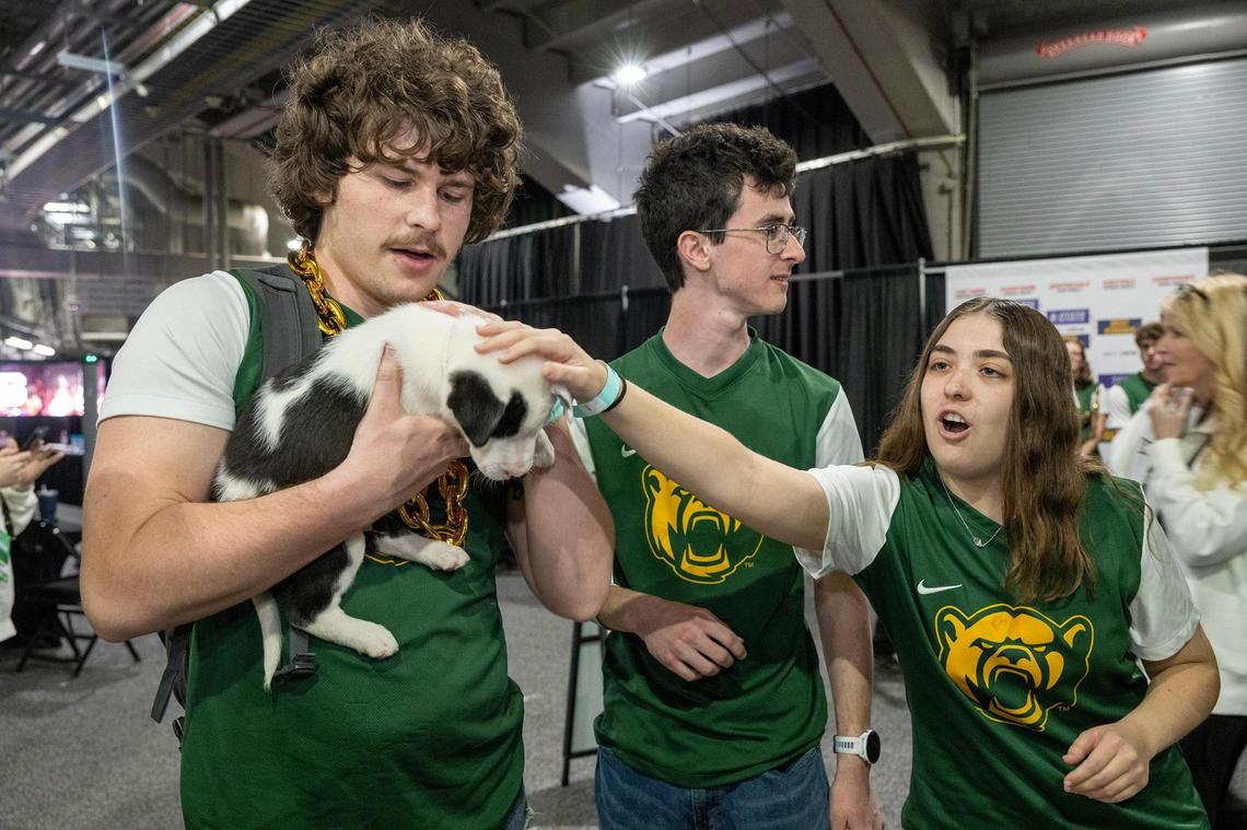 Members of the Baylor Bears band stopped for some puppy snuggles as Best Friends Animal Society teamed up with the Big 12 Conference and the. All of the puppies on hand Wednesday were adopted.