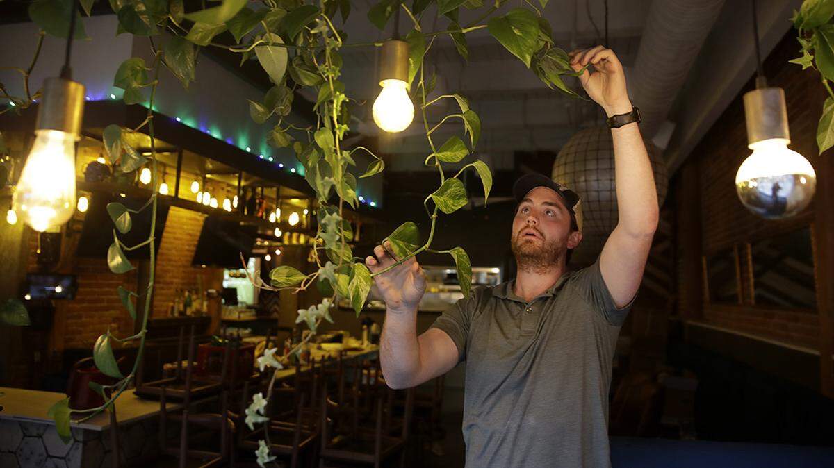 Sam Hagan sorts out overgrown house plants as he prepares his restaurant, Tribe Street Kitchen in the River Market, to reopen for inside seating.