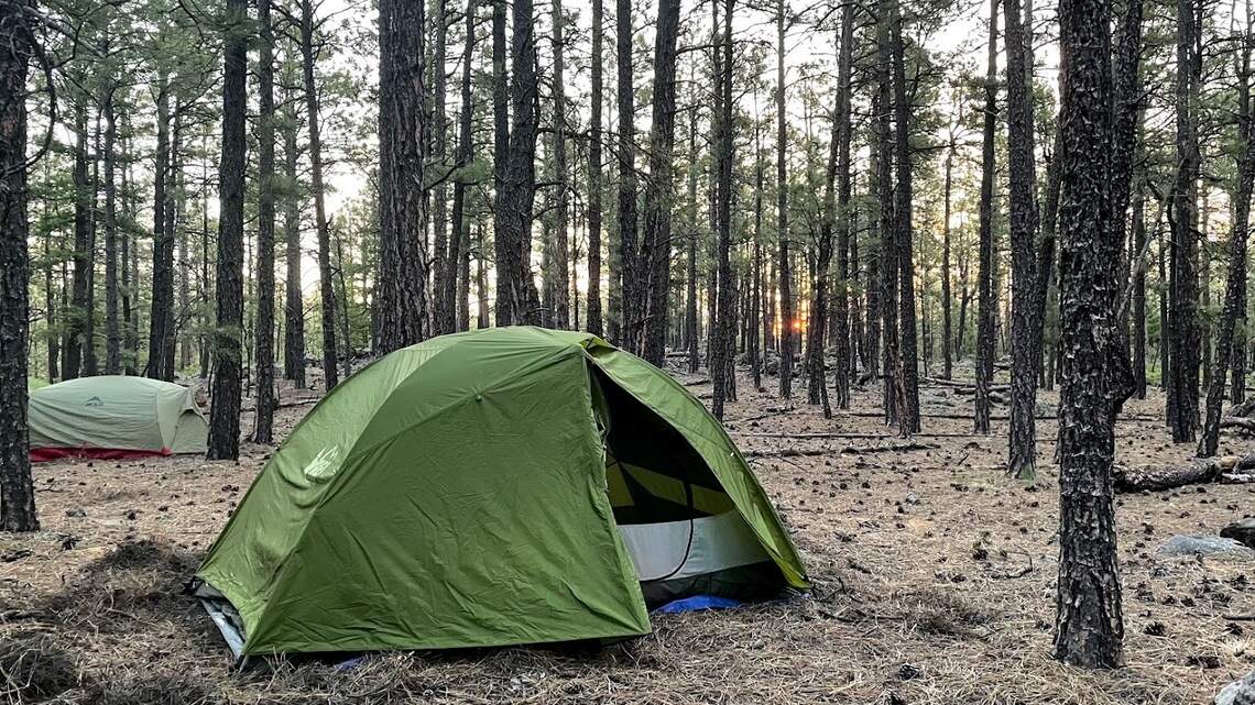 What happens when bears wander into campsite? These lessons take hold