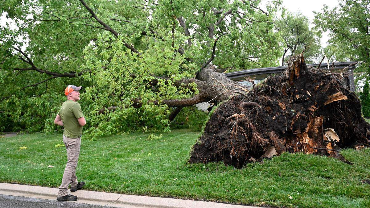 A resident of Mission looks over a large elm tree that was taken out at 58th and Nall Avenue when a severe storm moved through Mission, Kansas on Friday, July 14, 2023.
