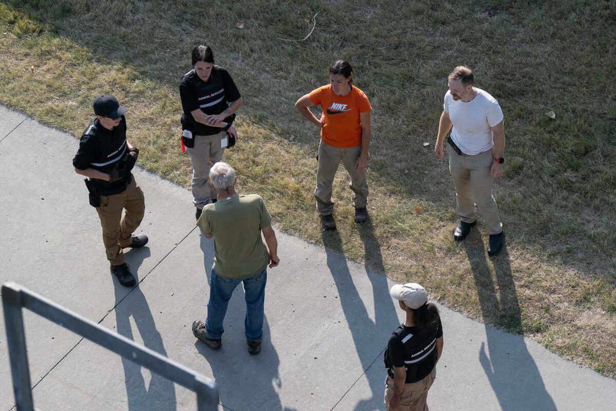 Goat farmer Margaret Chamas, middle right, along with KC Pet Project’s Animal Services Division, was brought in Wednesday, Sept. 11, to help wrangle loose goats that have been living alongside the Riverfront Trail in Kansas City.