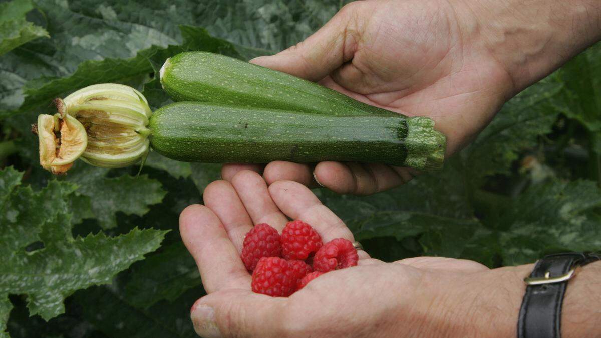 Fresh vegetables.