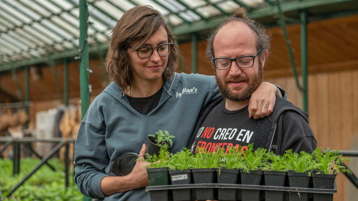 A gardener’s guide to Kansas City: Seven things to know about planting for success