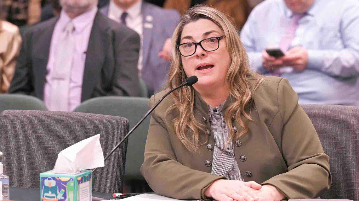 Missouri state Rep. Tricia Byrnes, a Wentzville Republican, speaks to a Missouri House committee during the 2025 legislative session.