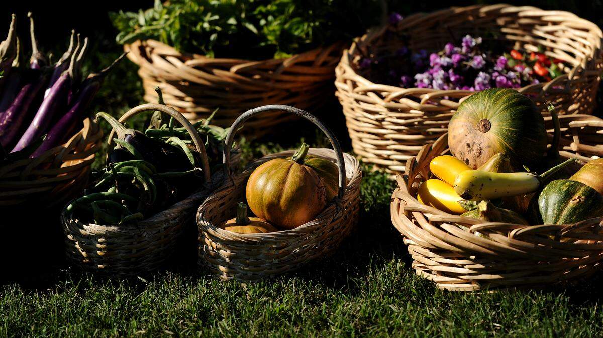 Fresh picked vegetables. (Photo by Patrick Smith/Getty Images)