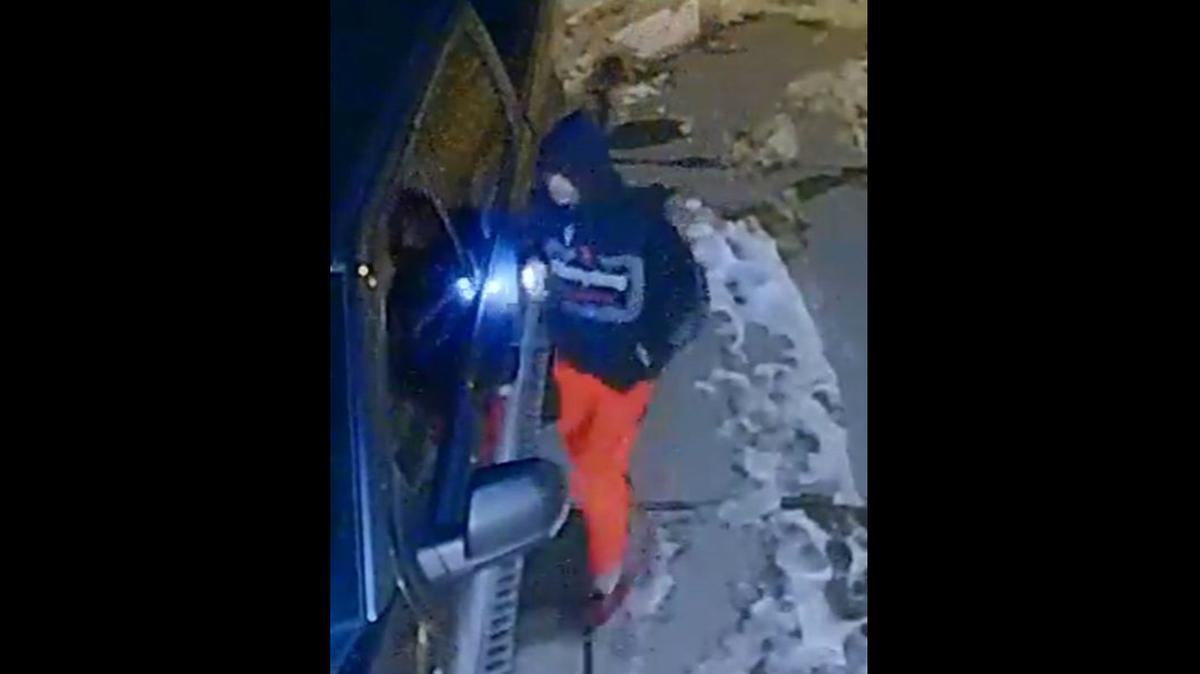 Police ask for help in identifying a suspect caught on camera stealing in the Northland