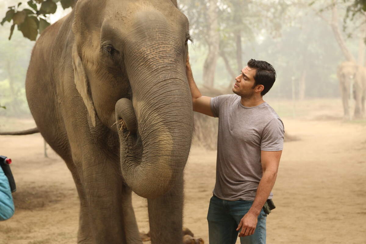 “You have to have a healthy respect for these animals,” Evan Antin said. “Elephants can be extremely dangerous.”