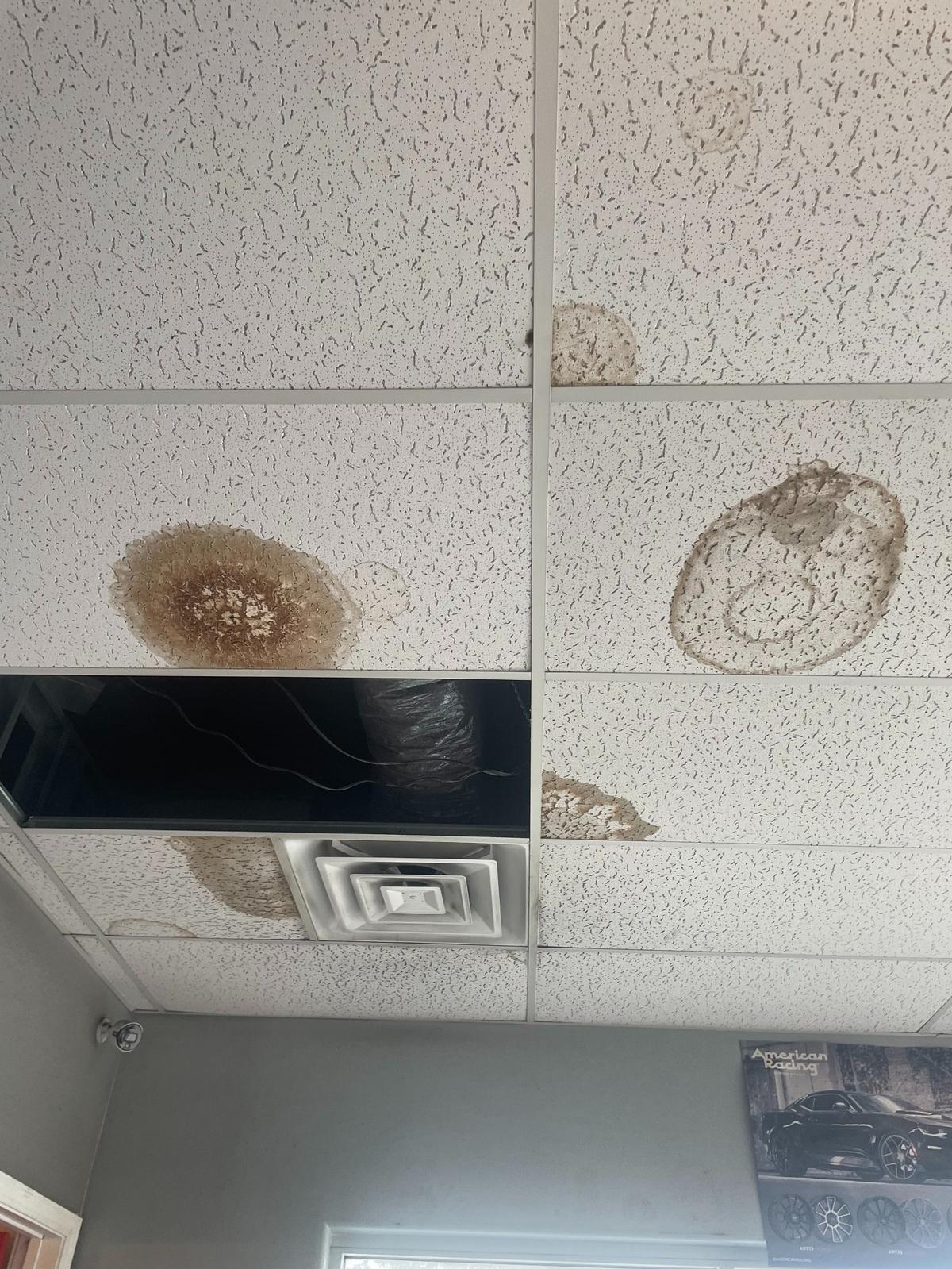 Water damage stains the ceiling of Tires and Rims in Kansas, City, Kansas on the morning of July 17, 2025, after heavy rain fell over the area.