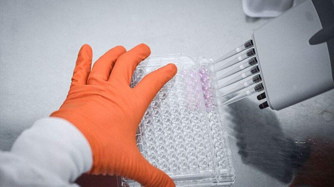 Stanford Scientists Confirm a Natural Peptide Your Body Already Makes Can Suppress Appetite Like GLP-1s