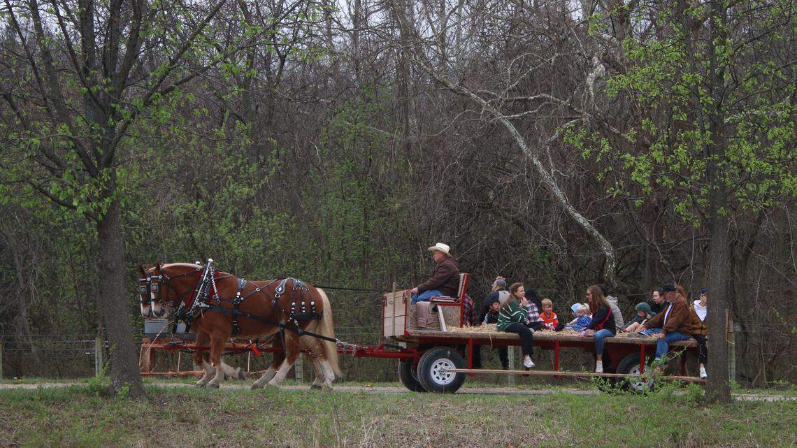 Get ready for goat yoga, a pumpkin patch and more at this JoCo attraction