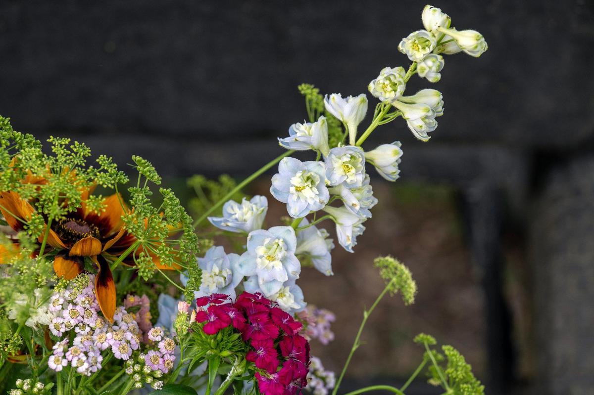 A stem of sky blue delphinium peeks out from a bouquet of specialty cut flowers grown by at Fern’s Farmette in Eudora, Kansas.