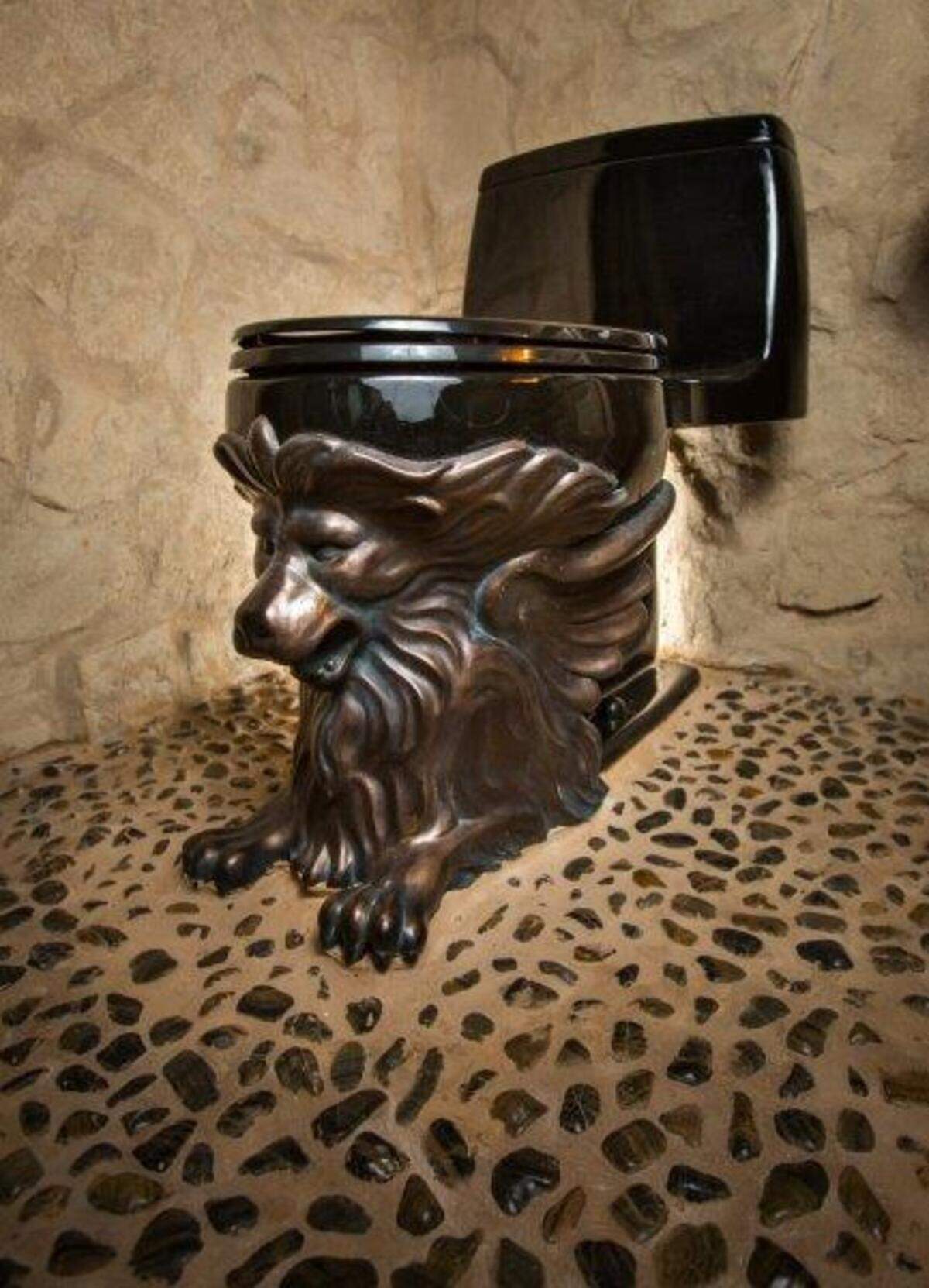 A toilet in the Willhoit home.