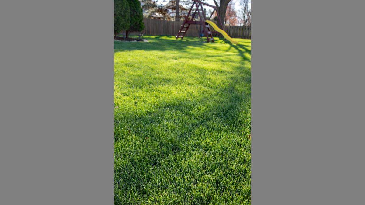 Fertilize this month to ensure next year’s yard is lush.