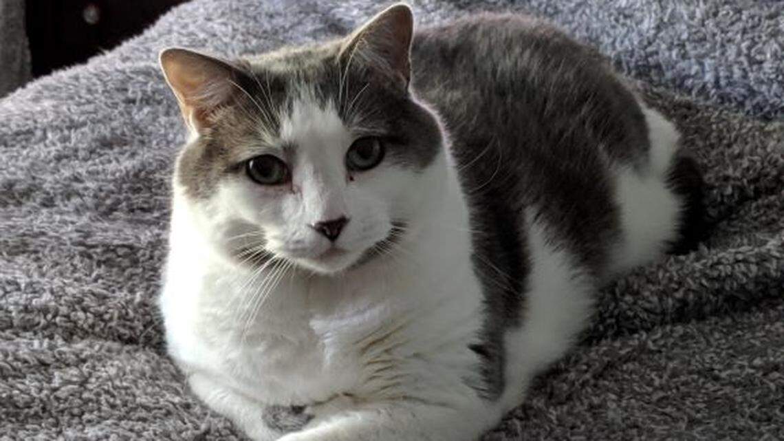 Indie was worth every cent.