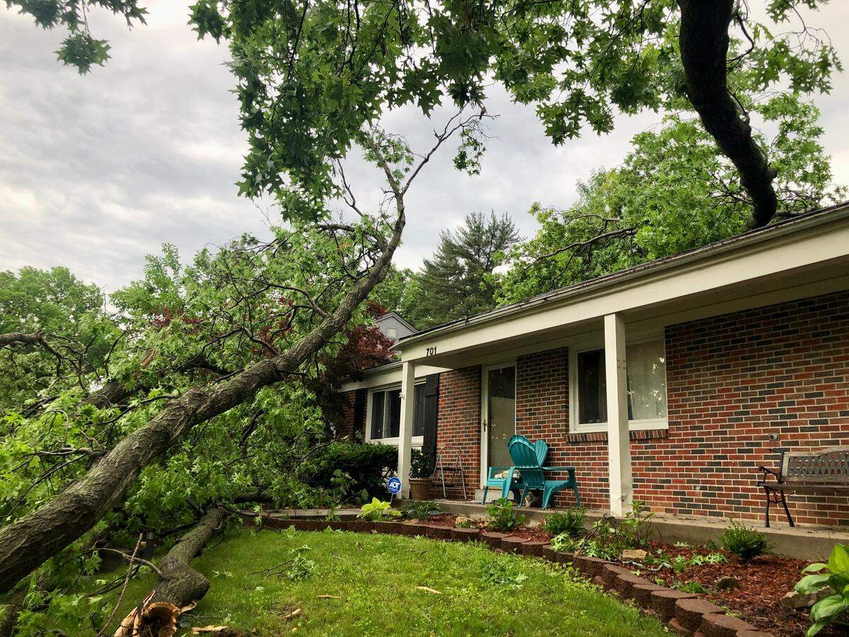 Part of a large tree fell in the storm that swept across parts of Johnson County and Kansas City on June 8, 2022. The fallen tree, which obstructed West 96th Street in Kansas City, also landed on the home of Joel Holland. He said a large branch rested on the roof above his 20-month-old daughter’s room. Thankfully, he said, no one was injured.