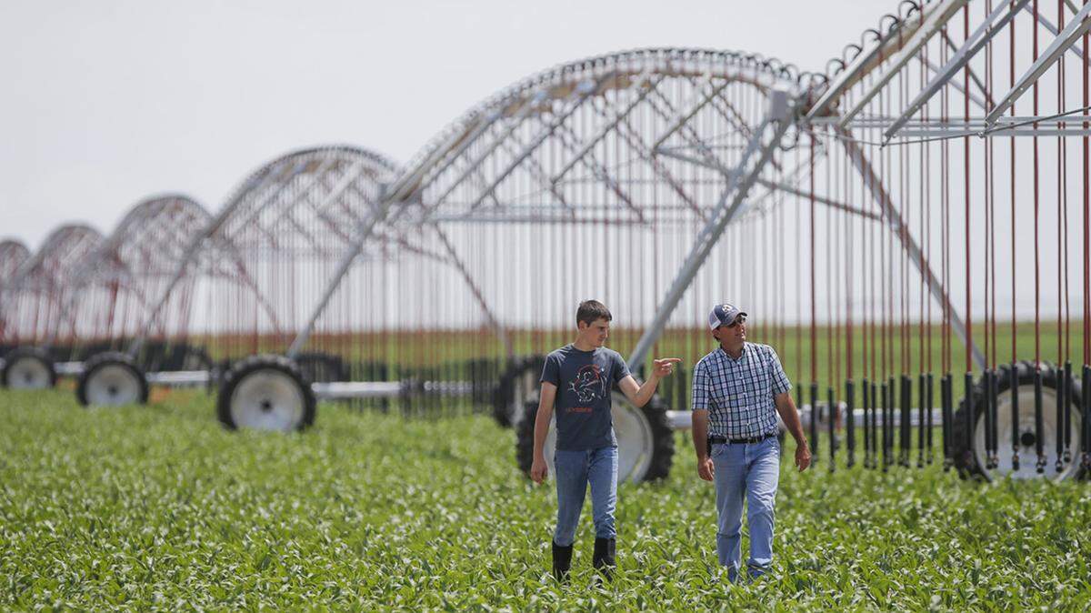 Clay Scott examines an irrigation pivot with his oldest son Ty in a corn field near their family farm in Ulysses in 2015.