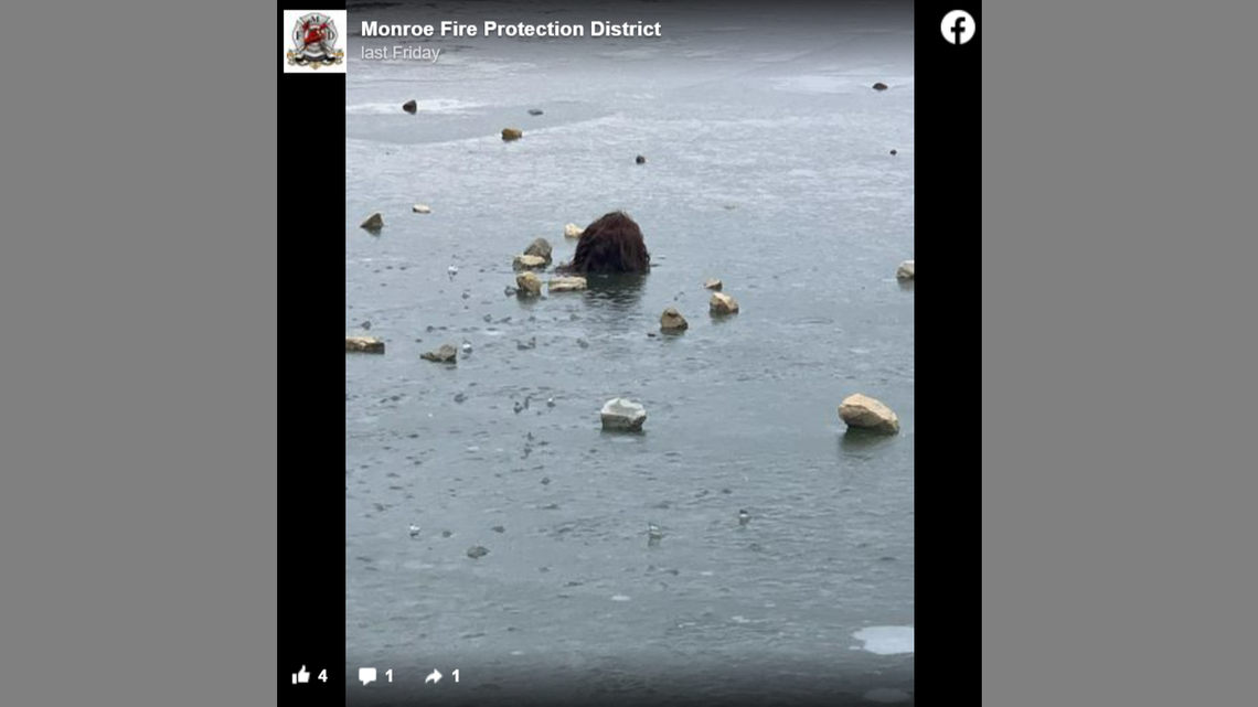 Firefighters in Indiana made their way to frozen Monroe Lake to rescue someone from the ice.