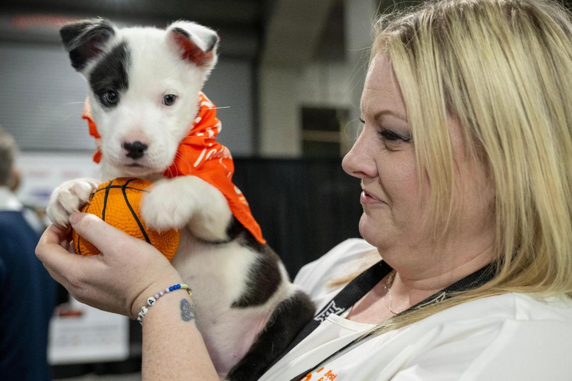 Cindy McLaughlin of Best Friends Animal Society held onto one of the puppies up for adoption at the Big 12 basketball tournament Wednesday, March 12, 2025, at T-Mobile Center in Kansas City.