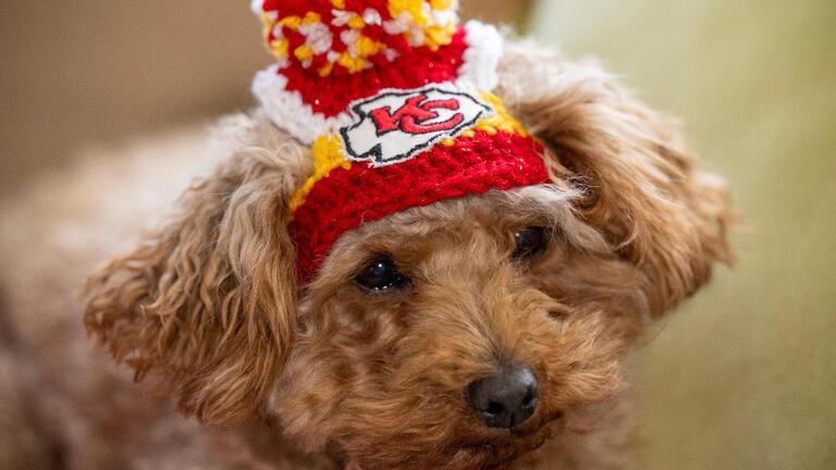 Is your cat or dog a Chiefs fan? This Kansas City woman can crochet it an adorable hat