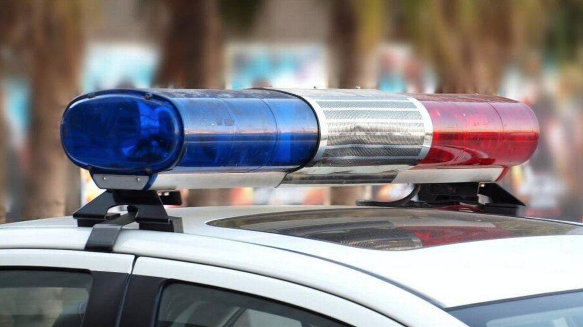 Lori Wozniak, officer with the St. Louis Metropolitan Police Department, slammed on the brakes of her police cruiser to get back at handcuffed suspects in the back who said “rude things” about her, police say.
