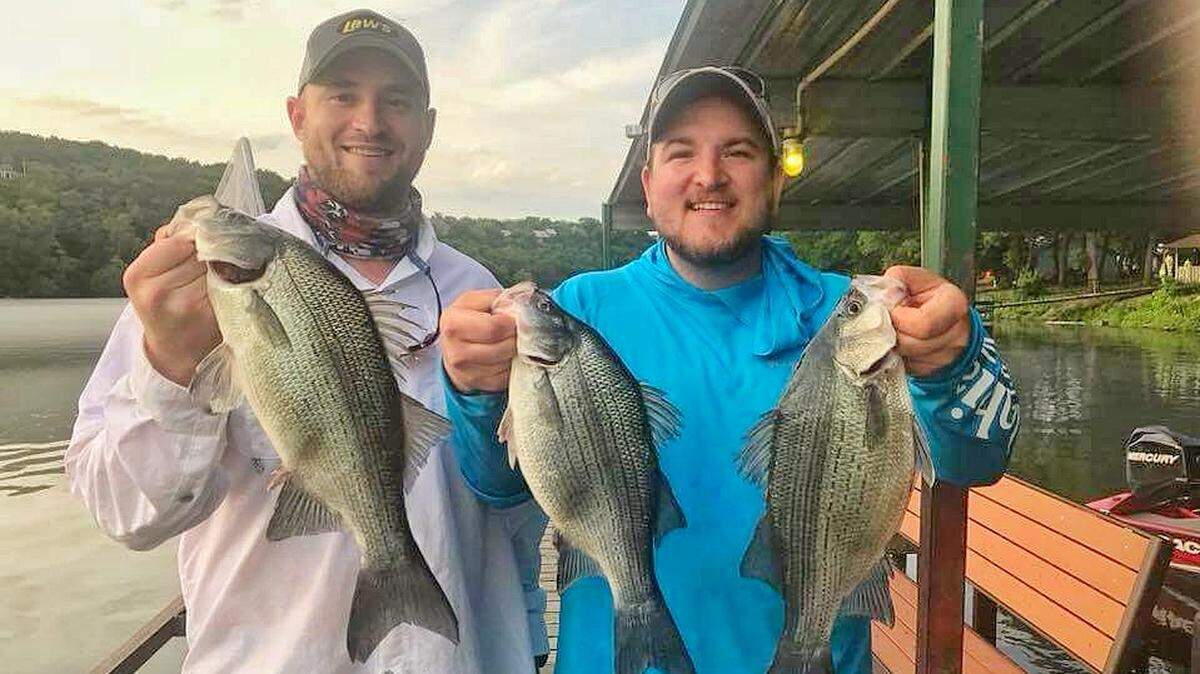 Ryan Haverstick (left) and Ryan Miloshewski show off some giant 16- to 17-inch, three-pound whites caught on jerkbaits at Lake Taneycomo. They caught the fish below the dam, by the cable.