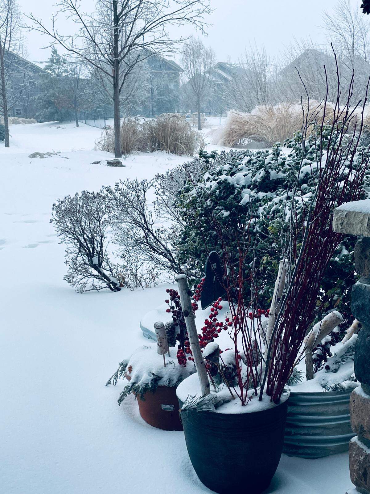 Three to four inches of snow had accumulated in south Overland Park the morning of Sunday, Jan. 5.