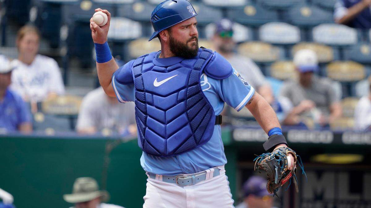 Kansas City Royals catcher Cam Gallagher in action against the Tampa Bay Rays during a baseball game Sunday, July 24, 2022, in Kansas City, Mo. (AP Photo/Ed Zurga)