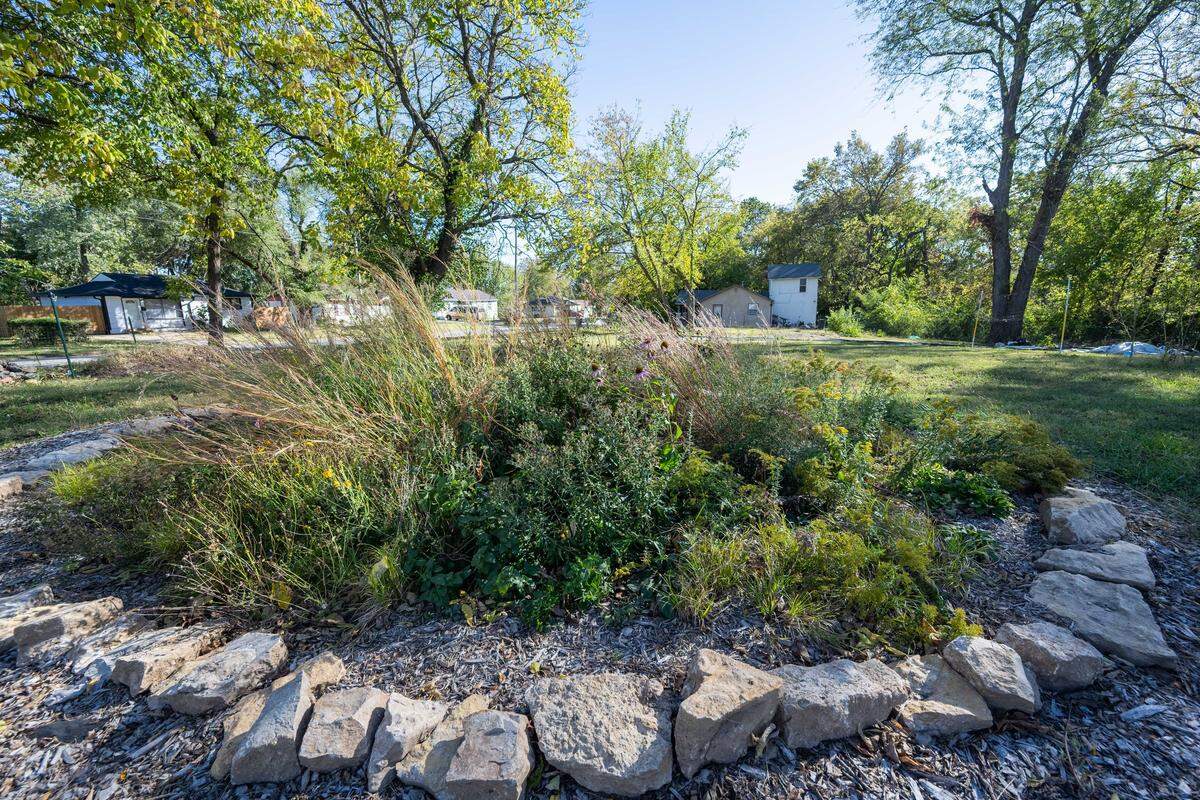 A garden filled with native plants at an urban farm on Kansas City's East Side, on Tuesday, October 21, 2025.