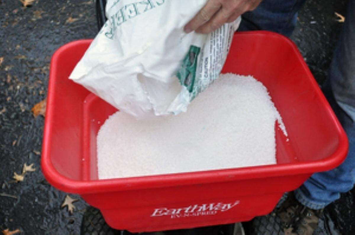 Apply a high-nitrogen, quick-release fertilizer this month and it will pay big dividends next spring.