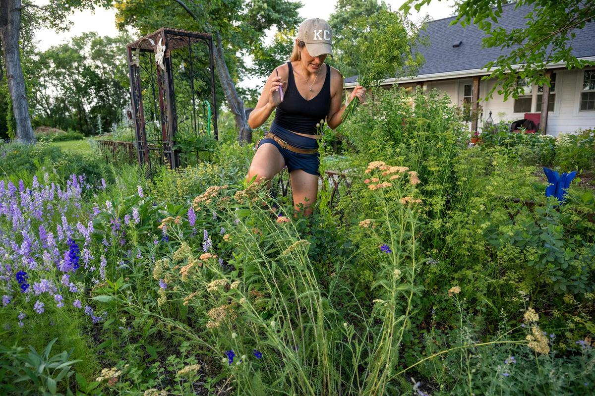 Hutchison carefully steps through the garden to harvest flowers at her Eudora farmette.