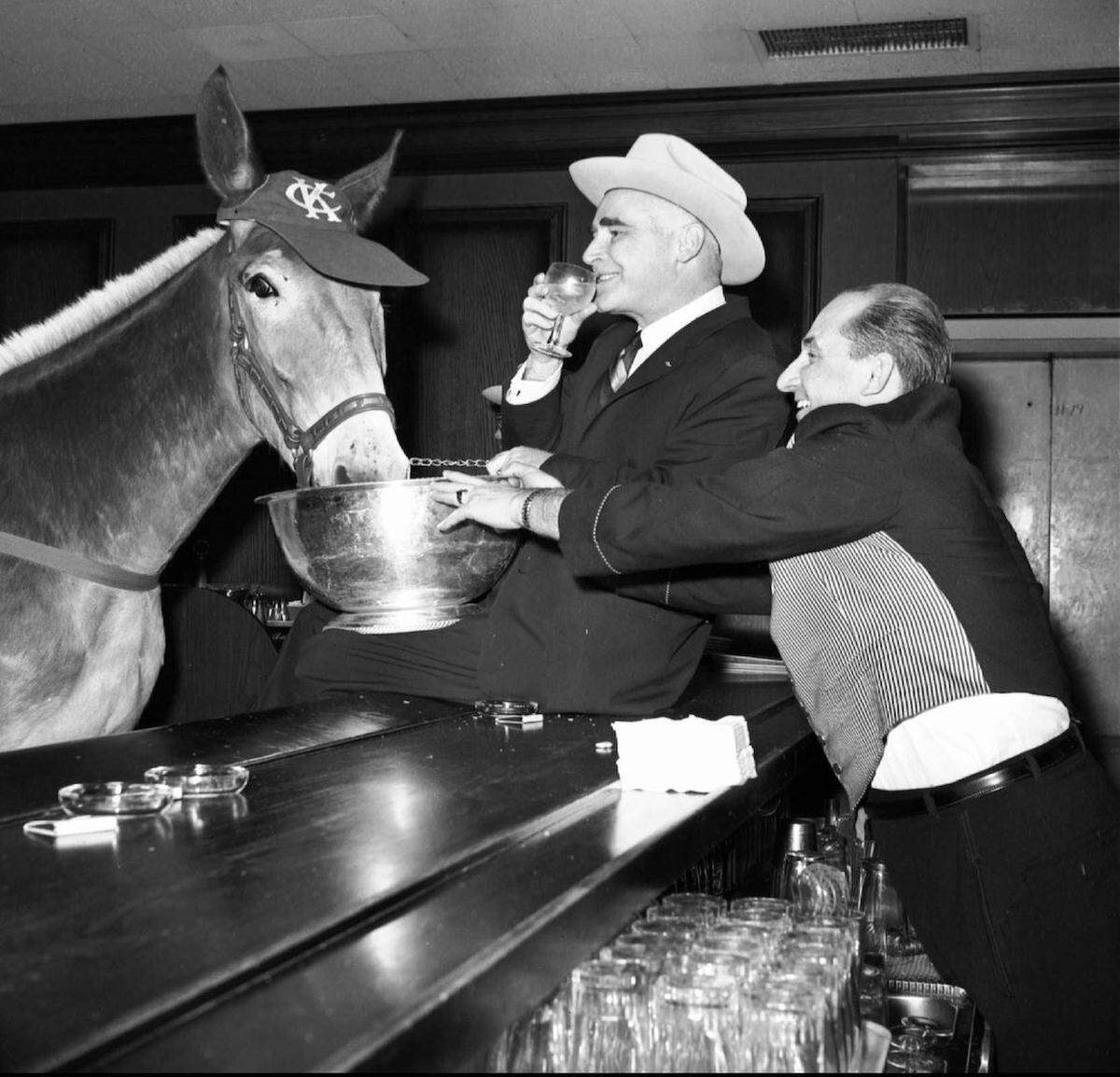 Kansas City Athletics owner Charlie O. Finley, center, watches as bartender John Mundok feeds oats to Athletics mascot “Charlie O” at the Americana Hotel in New York in this April 27, 1965 photo. The Athletics were in town to play against the New York Yankees.