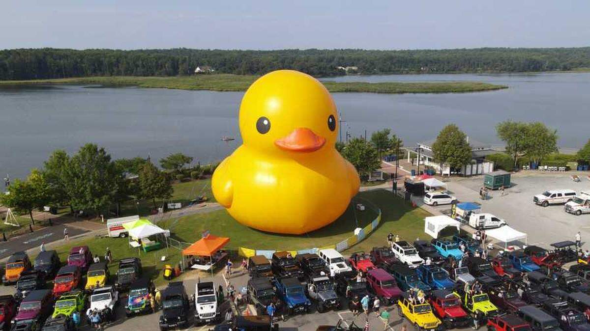 The world’s largest rubber duck will hold court at the Missouri State Fair in Sedalia, which begins Thursday and runs through Aug. 17. Visitors can take pictures with the giant waterfowl, known as Mama Duck.